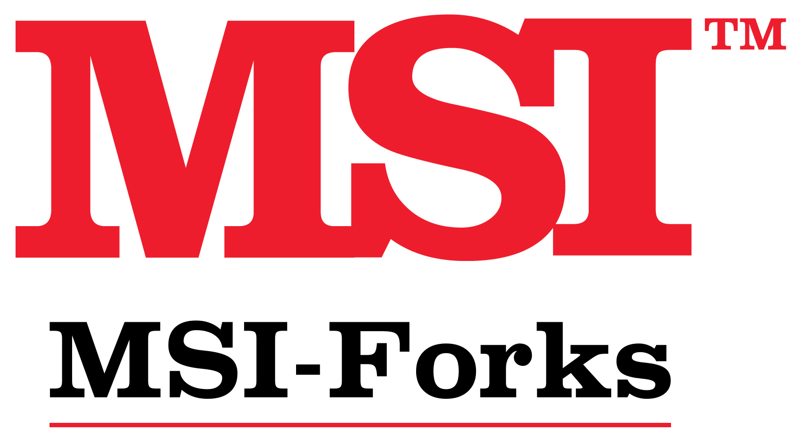 Grupo MSI